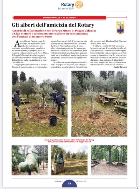 Gli Alberi dell’Amicizia del Rotary